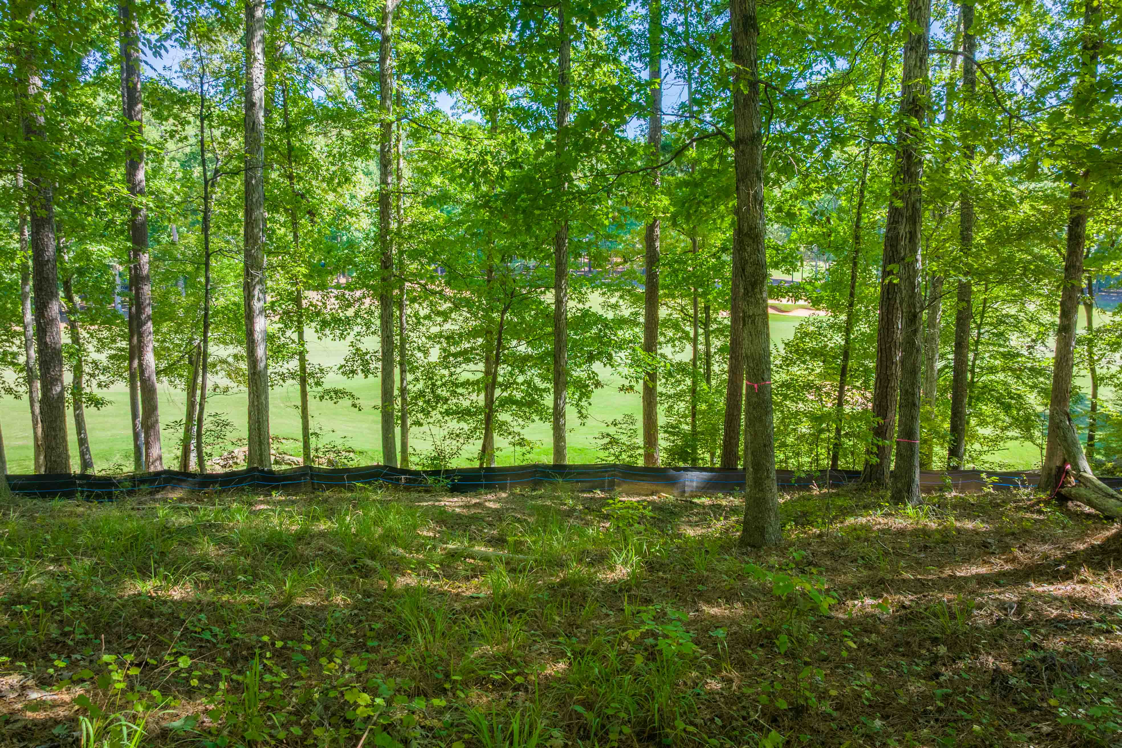 1200 Callahan's Ridge Road image 12